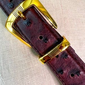 Deep Brown Ostrich Embossed Leather Belt w Classy Gold Hardware Unisex